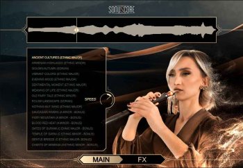 Cinematique Instruments Ancient Duduk Phrases Content for HALion screenshot