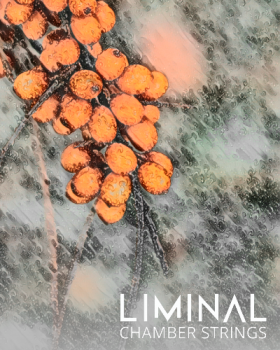 Crocus Soundware LIMINAL Chamber Strings KONTAKT screenshot