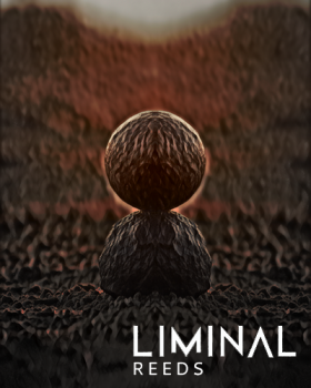 Crocus Soundware LIMINAL Reeds KONTAKT screenshot