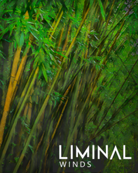 Crocus Soundware LIMINAL Winds KONTAKT screenshot