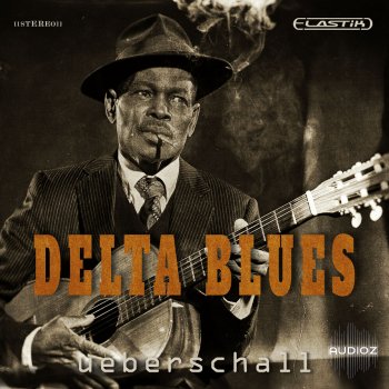Ueberschall Delta Blues ELASTIK screenshot