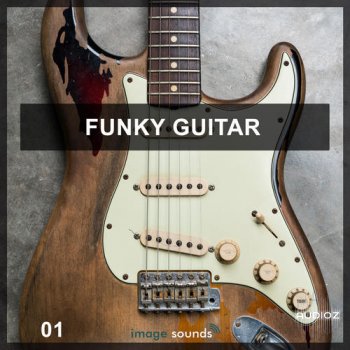 Steinberg Funky Guitar 1 VSTSOUND screenshot