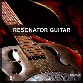 Steinberg Resonator Guitar VSTSOUND screenshot