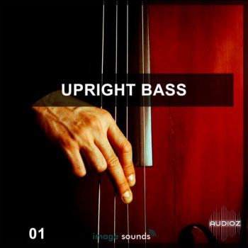 Steinberg Upright Bass 1 VSTSOUND