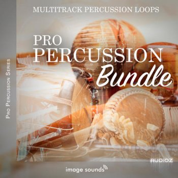 Steinberg Pro Percussion Bundle VSTSOUND
