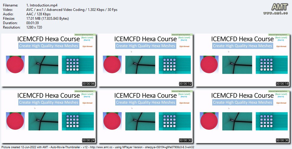 ANSYS ICEMCFD Hexa Basic course (Part 2)