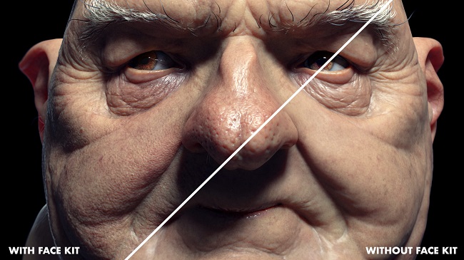 FlippedNormals – Face Kit