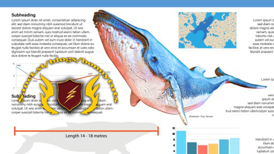 Creating Illustrator Infographics (2022)