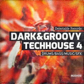 Delectable Records Dark And Groovy TechHouse 04 WAV-FANTASTiC screenshot