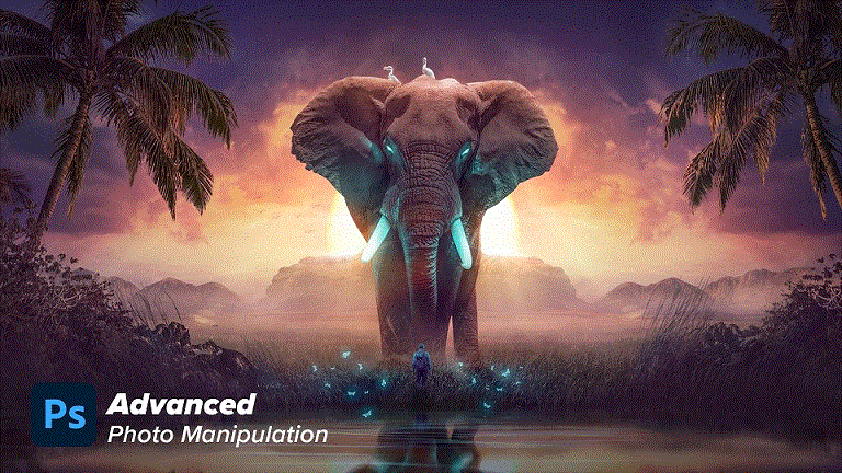 Advanced photo manipulation | The Mysterious elephant