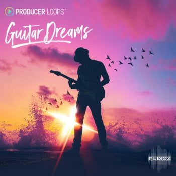 Producer Loops Guitar Dreams MULTiFORMAT-DECiBEL screenshot