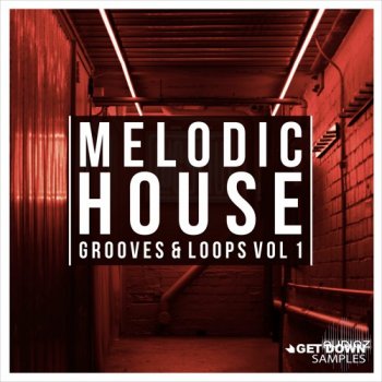 Get Down Samples Melodic House Grooves and Loops Vol 1 WAV MiDi-FANTASTiC screenshot