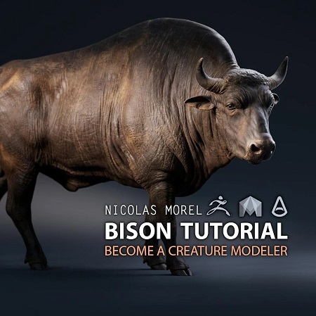 Gumroad – Nicholas Morel – Bison Tutorial