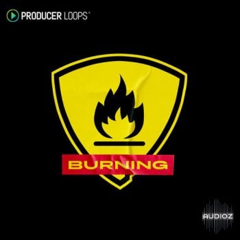 Producer Loops Burning MULTiFORMAT-DECiBEL screenshot