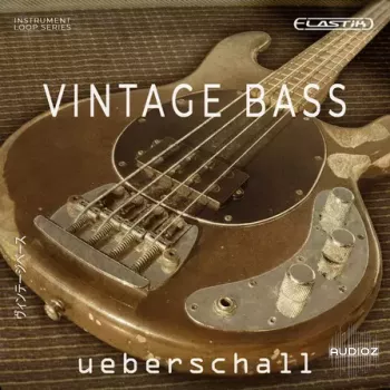 Ueberschall Vintage Bass ELASTIK screenshot