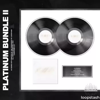 Loopstash Platinum Bundle VOL. 2 WAV AiFF Omnisphere Bank-FANTASTiC