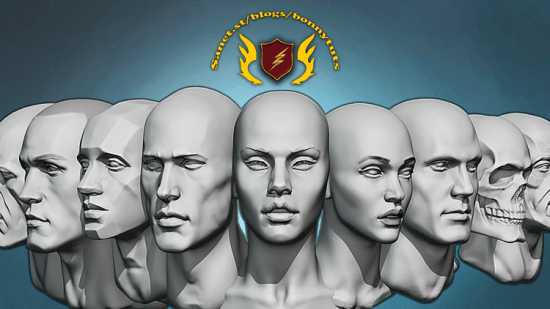 Head anatomy and sculpting exercises course