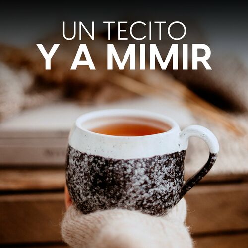 VA – Un tecito y a mimir (2022)
