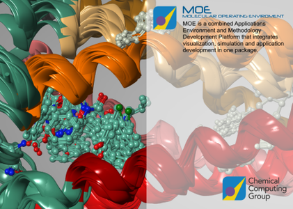 Chemical Computing Group MOE (Molecular Operating Environment) 2022.02 Linux