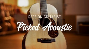 Native Instruments Session Guitarist Picked Acoustic v1.1.0 KONTAKT screenshot