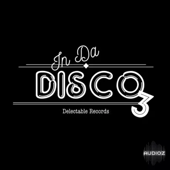 Delectable Records In Da Disco 3 WAV-FANTASTiC screenshot