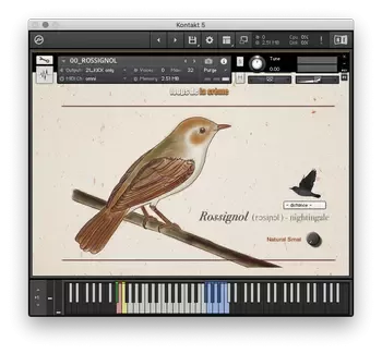Loops De La Creme Songbird Virtuoso for Kontakt screenshot