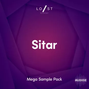 Lost Stories Academy Sitar Sample Mega Pack WAV-FANTASTiC screenshot