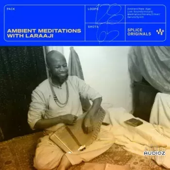 Splice Originals Ambient Meditations with Laraaji WAV MiDi XFER RECORDS SERUM-FANTASTiC screenshot