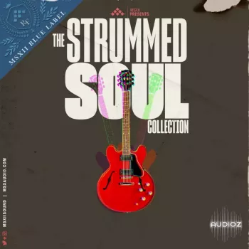 MSXII Sound Design Strummed Soul Collection (Compositions and Stems) WAV screenshot