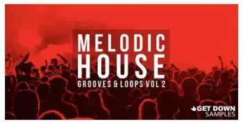 Get Down Samples Melodic House Grooves & Loops Vol 2 WAV screenshot