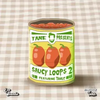 LEX Sounds Saucy Loops 2 WAV-FANTASTiC screenshot