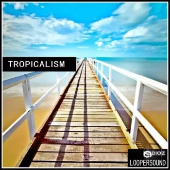 Loopersound Tropicalism WAV MIDI-DECiBEL screenshot