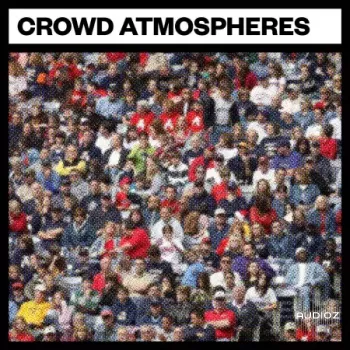 Big Room Sound Crowd Atmospheres WAV-FANTASTiC screenshot