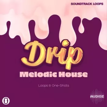 Soundtrack Loops Drip Melodic House WAV-FANTASTiC screenshot
