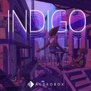 AudeoBox Indigo WAV-FANTASTiC