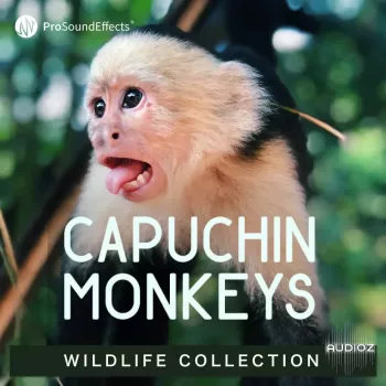 Pro Sound Effects Wildlife Collection Capuchin Monkeys WAV-FANTASTiC screenshot