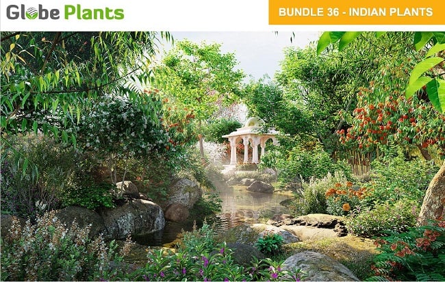 Globe Plants – Bundle 36 – Indian Plants