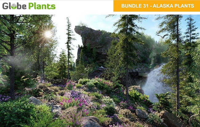 Globe Plants – Bundle 31 – Alaskan Plants