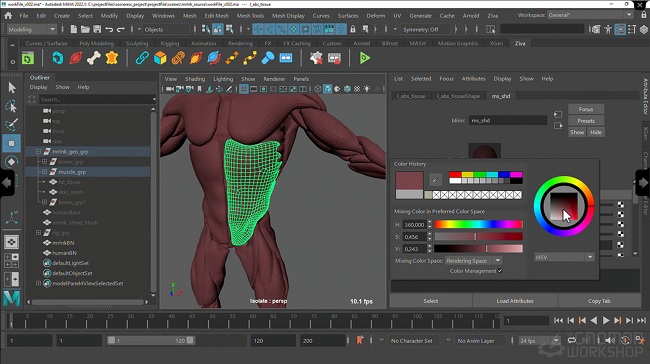 The Gnomon Workshop – Introduction to Ziva VFX: Volume 1