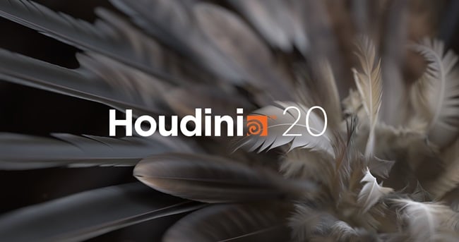 SideFX Houdini 20.0.547 x64 Win/Lnx
