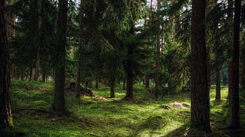 Build A Todolist With Nestjs, Mongodb And React Native