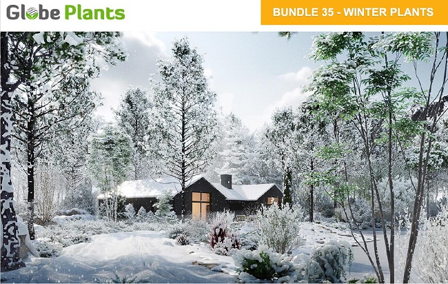 Globe Plants – Bundle 35 – Winter Plants