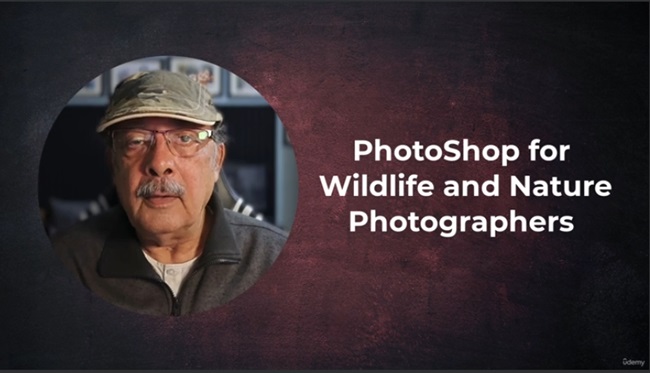 Photoshop for wildlife and nature photographers