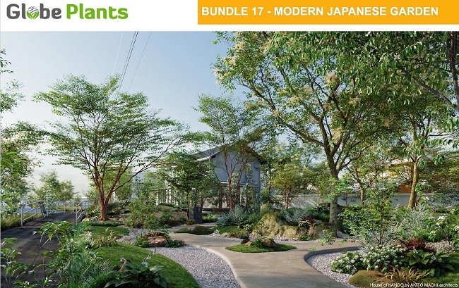 Globe Plants – Bundle 17 – Modern Janapese Garden
