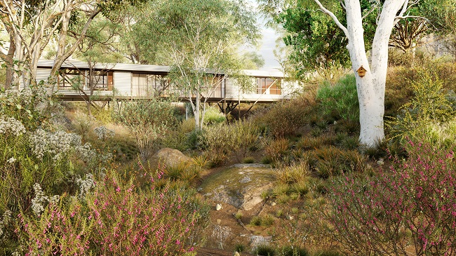 Globe Plants – Bundle 41 – Australian Wild Plants
