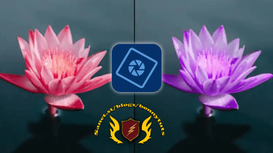 Photoshop Elements 2023 Made Easy Training Tutorial