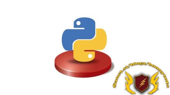 Master Python by Building Real World Python Projects (2023)