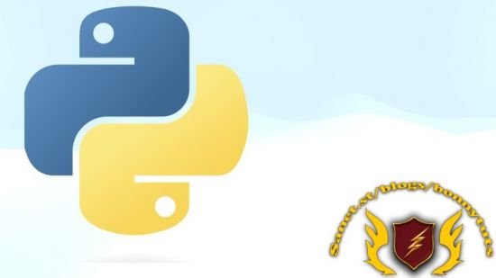 Python for Everybody : A Guide to Master Python Fundamentals