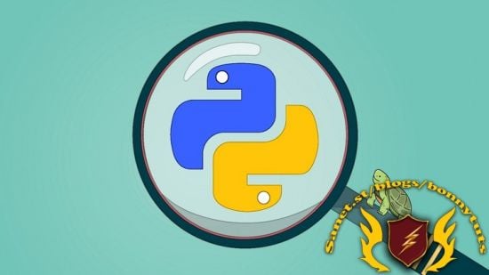 Python &amp; Turtle: A Practical Guide for Beginners and Beyond