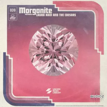UNKWN Sounds Morganite (Compositions and Stems) WAV-FANTASTiC screenshot